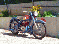 la «bête de cirque» de Jojo - 176TC4 de 1951 (1/2)